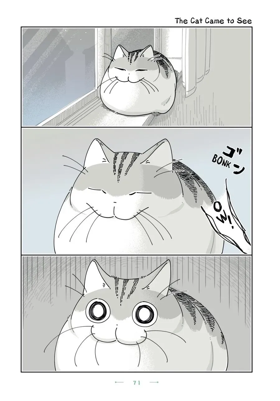 Read Nights With a Cat chapter 0 image 71 on Lezhin