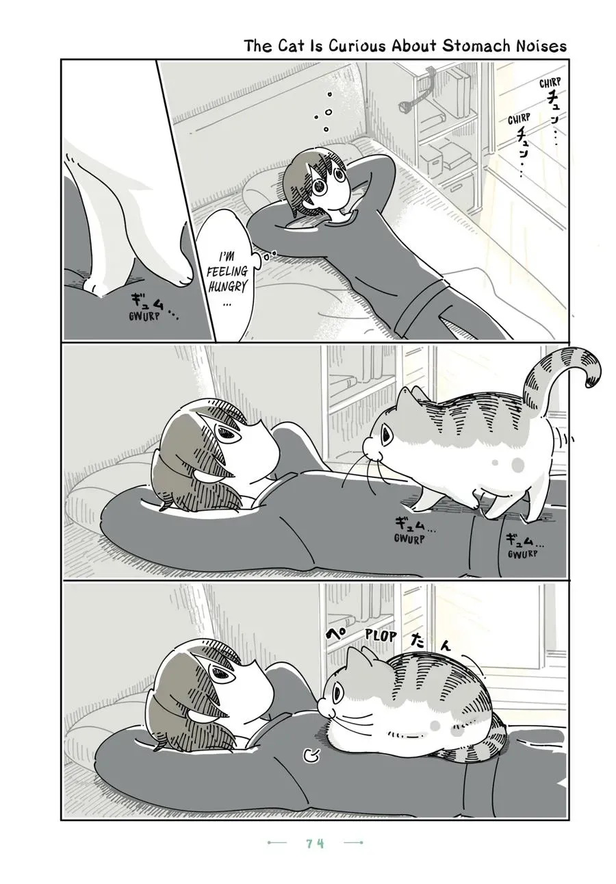 Read Nights With a Cat chapter 0 image 74 on Lezhin