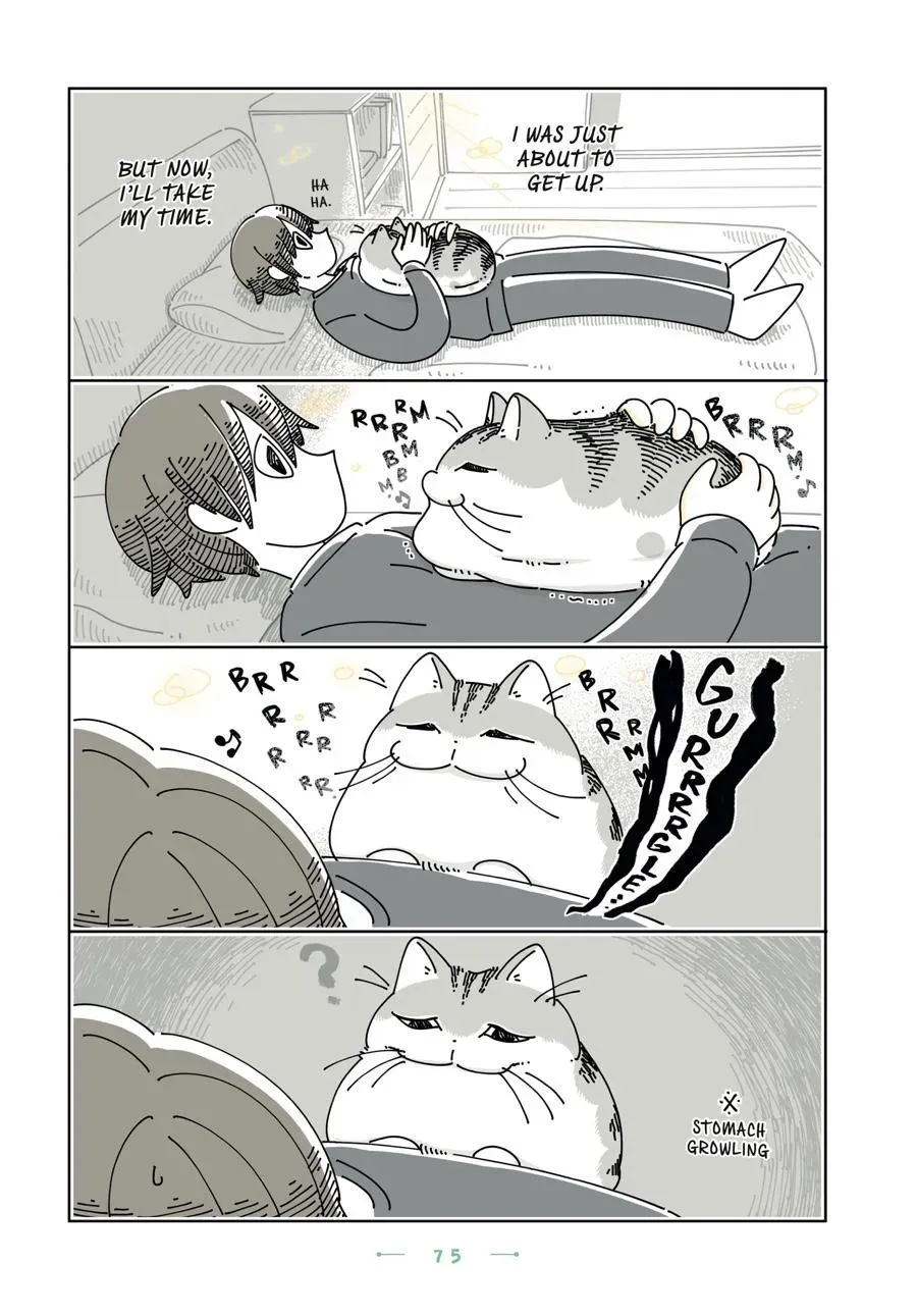 Read Nights With a Cat chapter 0 image 75 on Lezhin