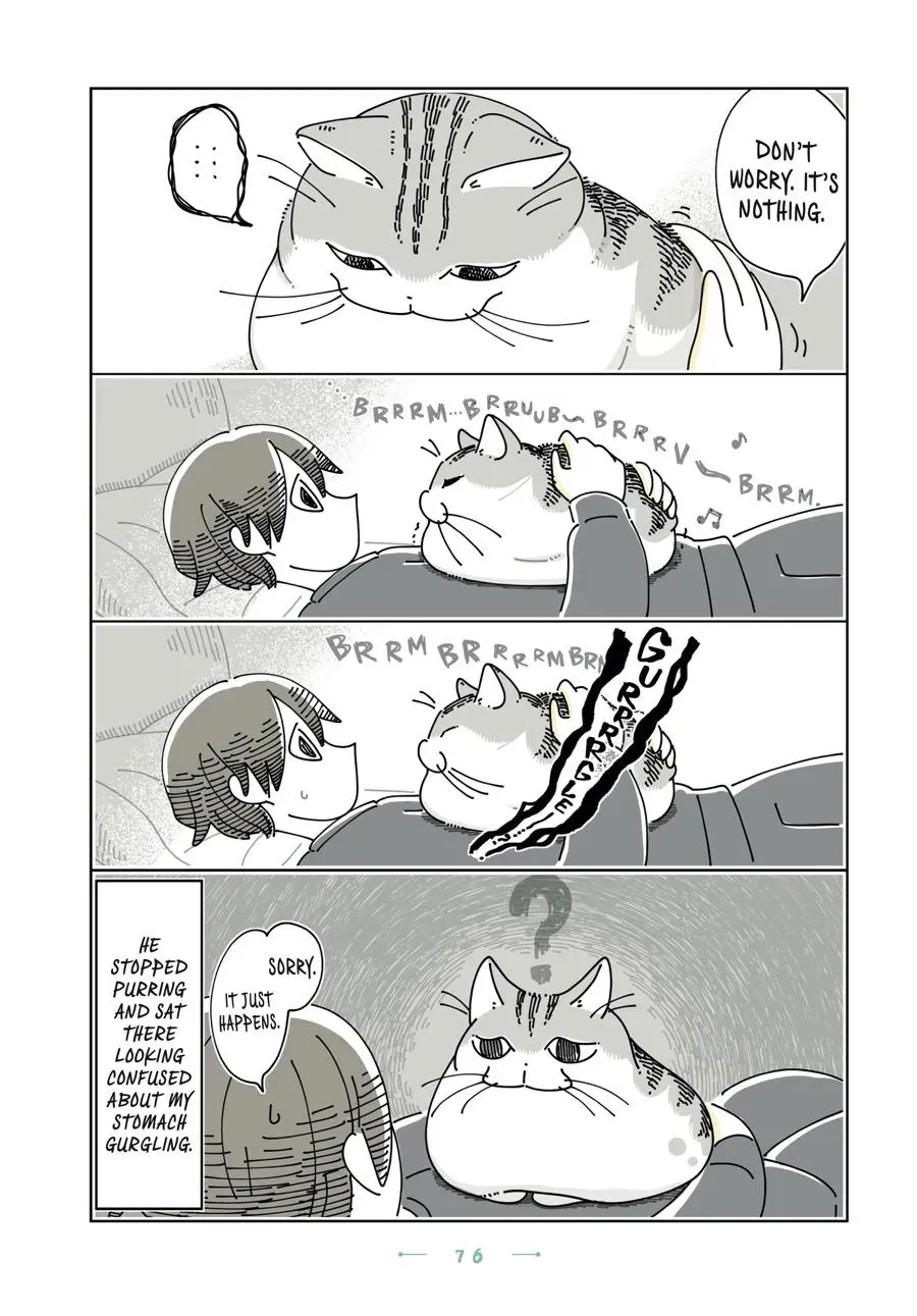 Read Nights With a Cat chapter 0 image 76 on Lezhin