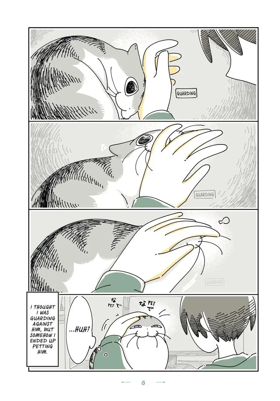 Read Nights With a Cat chapter 0 image 8 on Lezhin