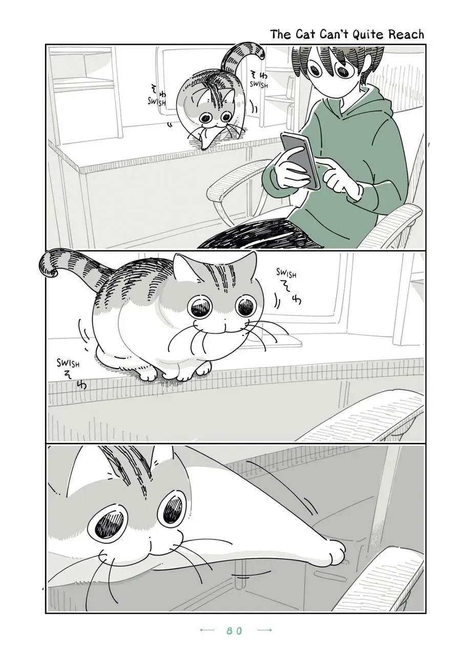 Read Nights With a Cat chapter 0 image 80 on Lezhin