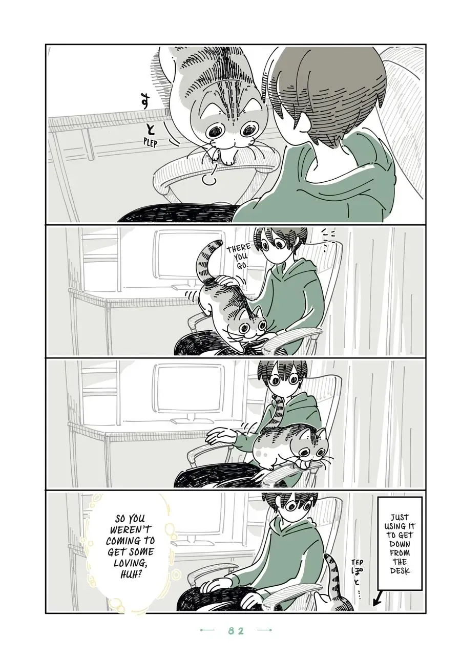 Read Nights With a Cat chapter 0 image 82 on Lezhin