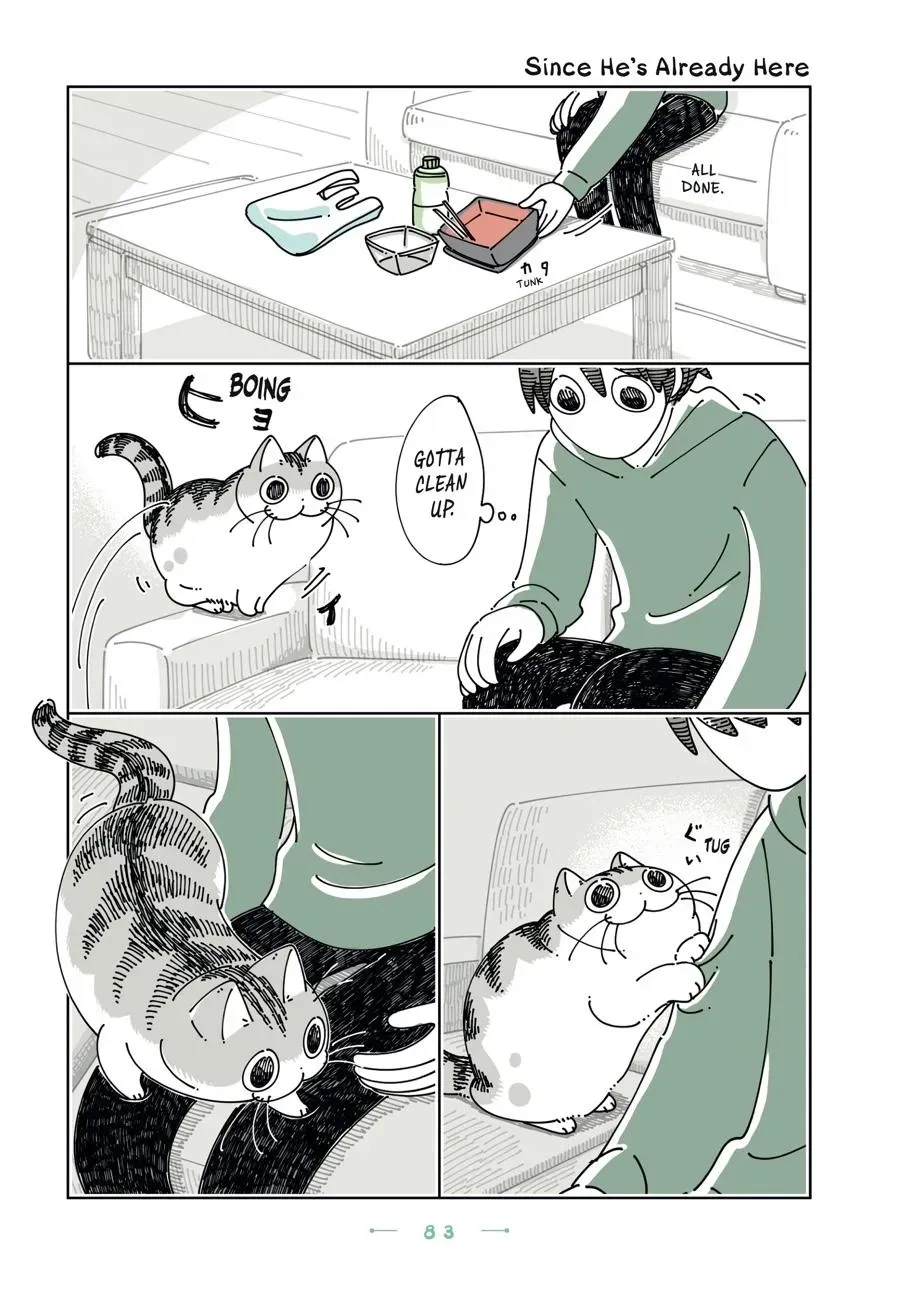 Read Nights With a Cat chapter 0 image 83 on Lezhin