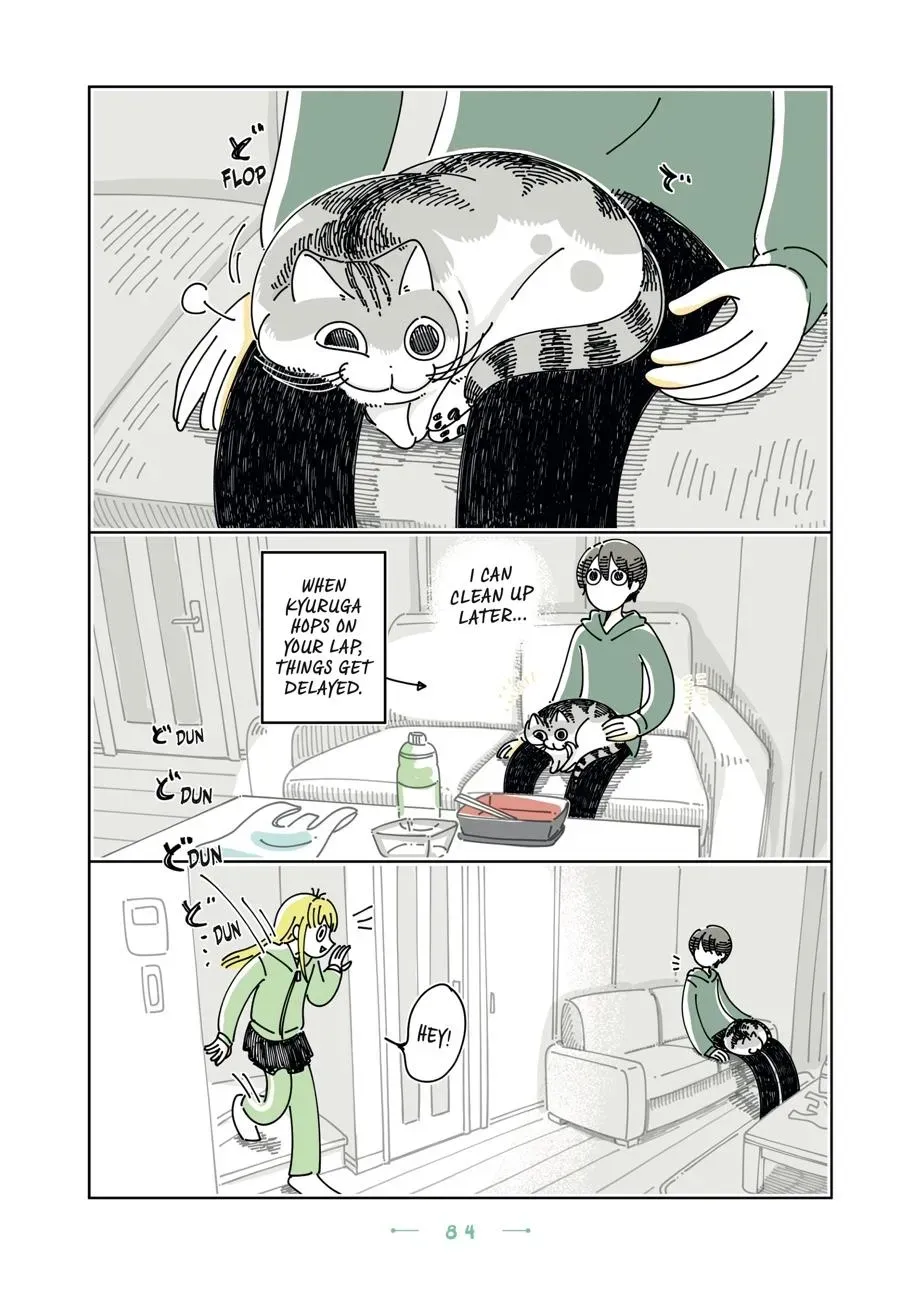 Read Nights With a Cat chapter 0 image 84 on Lezhin