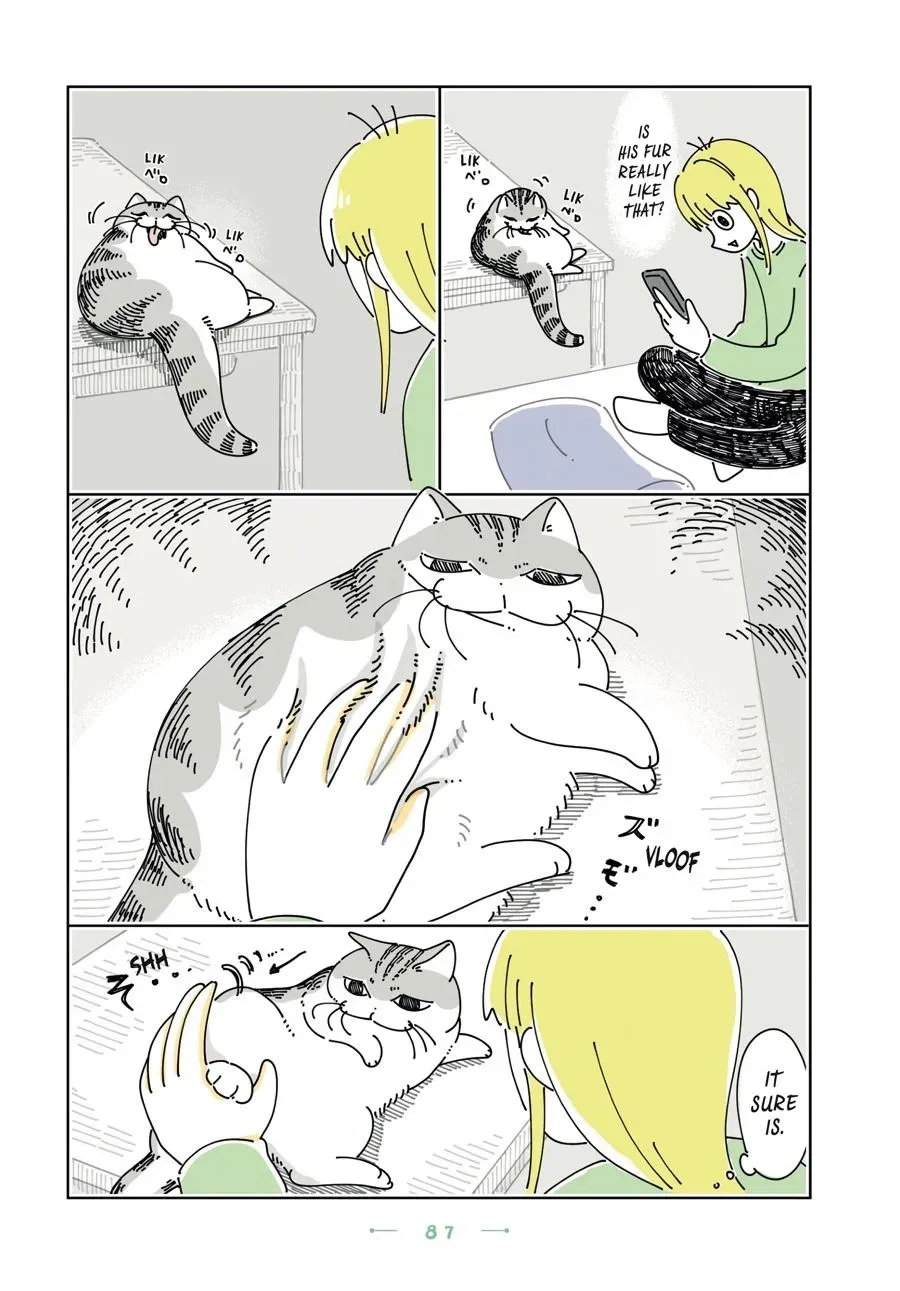 Read Nights With a Cat chapter 0 image 87 on Lezhin