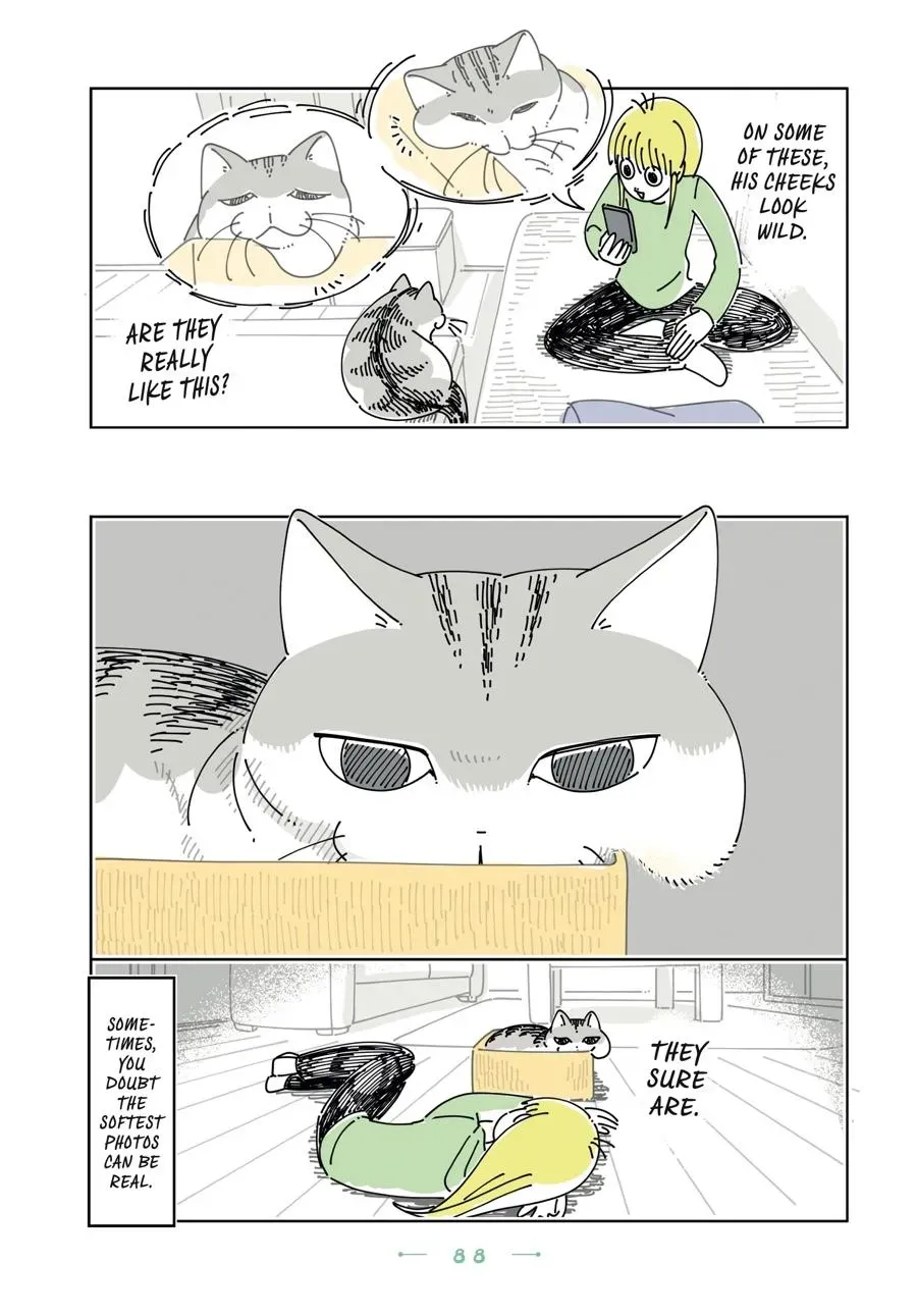 Read Nights With a Cat chapter 0 image 88 on Lezhin