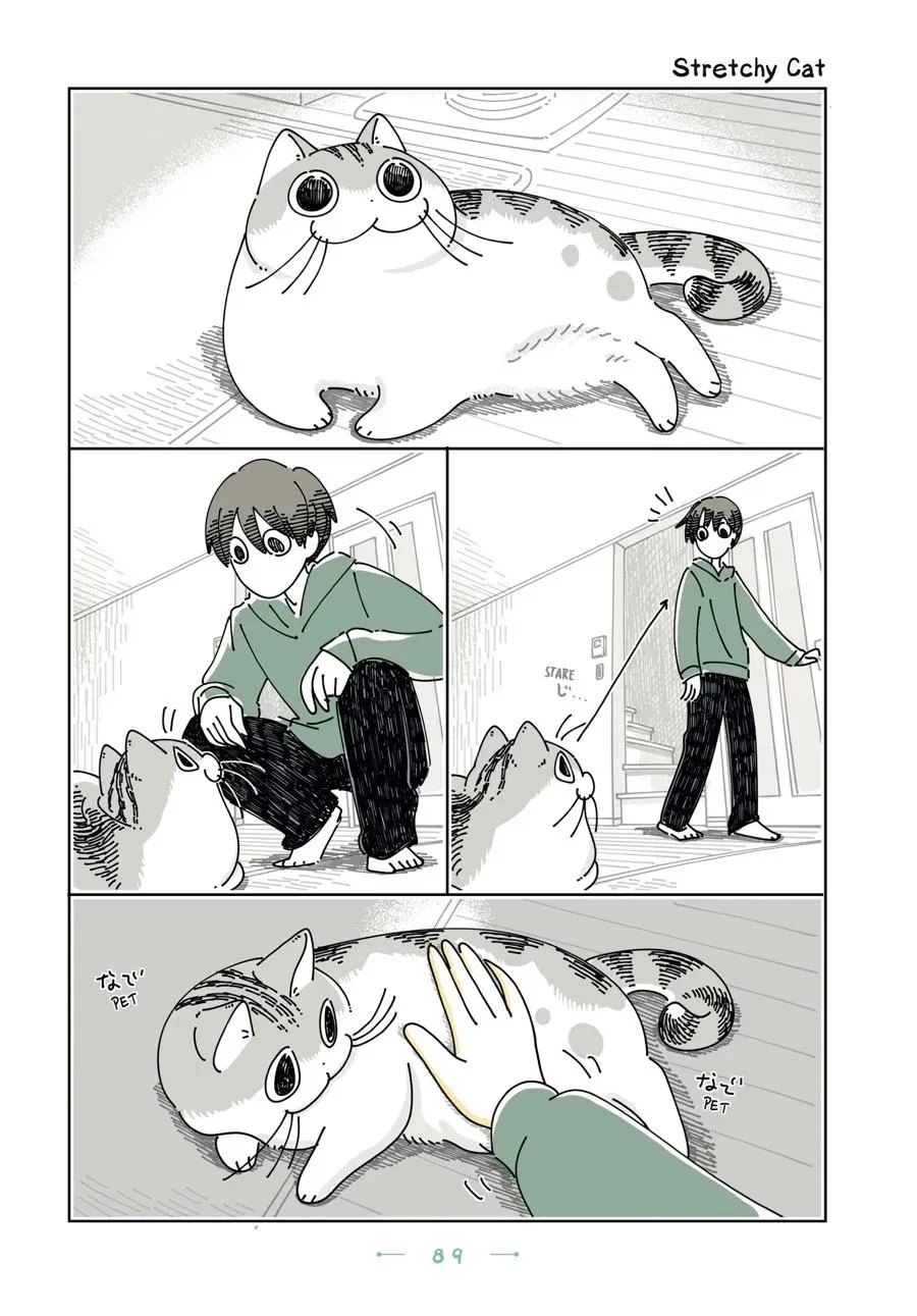 Read Nights With a Cat chapter 0 image 89 on Lezhin