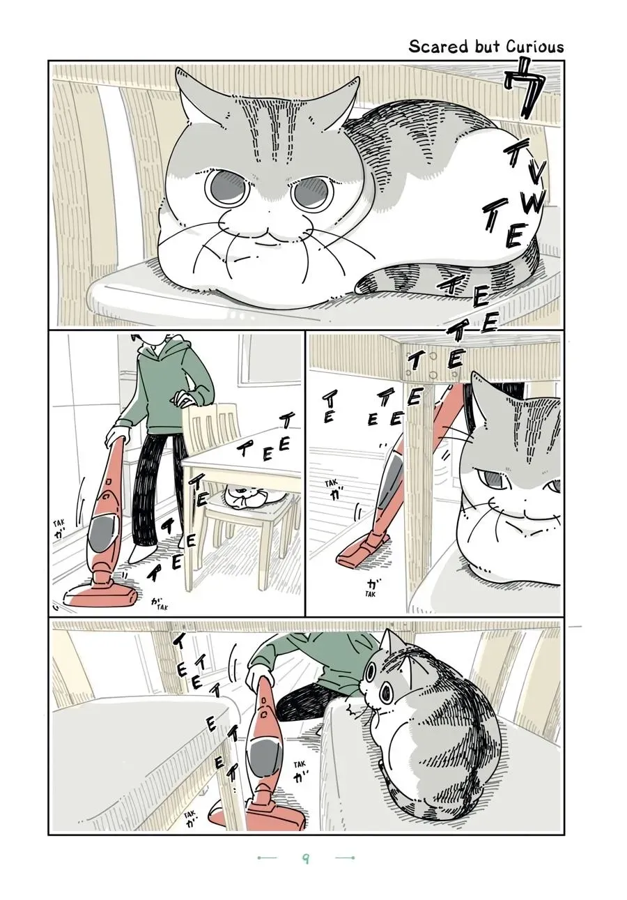 Read Nights With a Cat chapter 0 image 9 on Lezhin