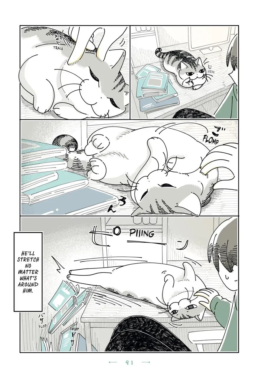 Read Nights With a Cat chapter 0 image 91 on Lezhin
