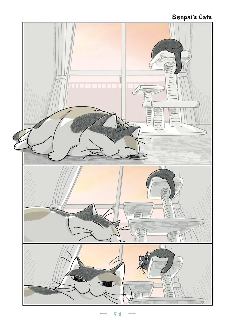 Read Nights With a Cat chapter 0 image 96 on Lezhin