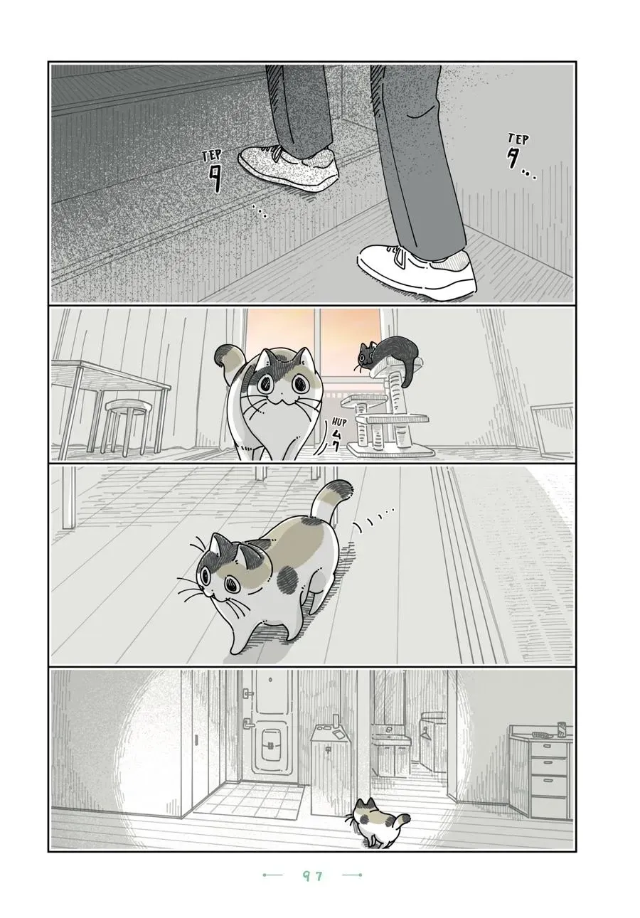 Read Nights With a Cat chapter 0 image 97 on Lezhin
