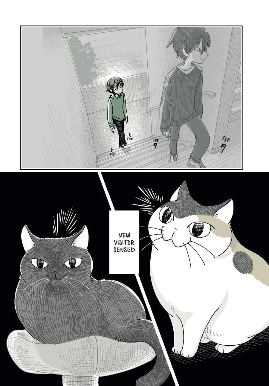 Read Nights With a Cat chapter 0 image 99 on Lezhin