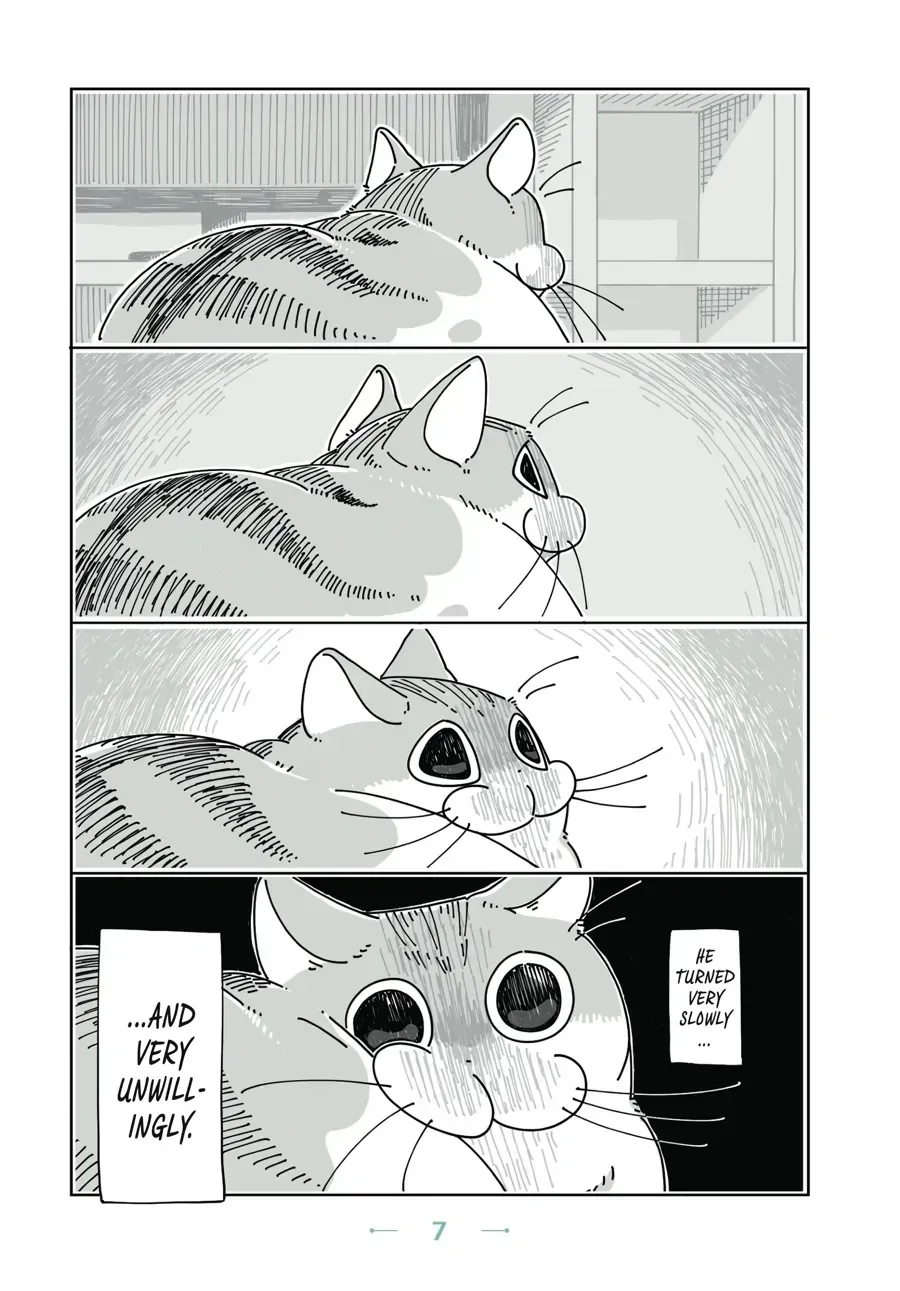 Read Nights With a Cat chapter 1.1 image 6 on Lezhin