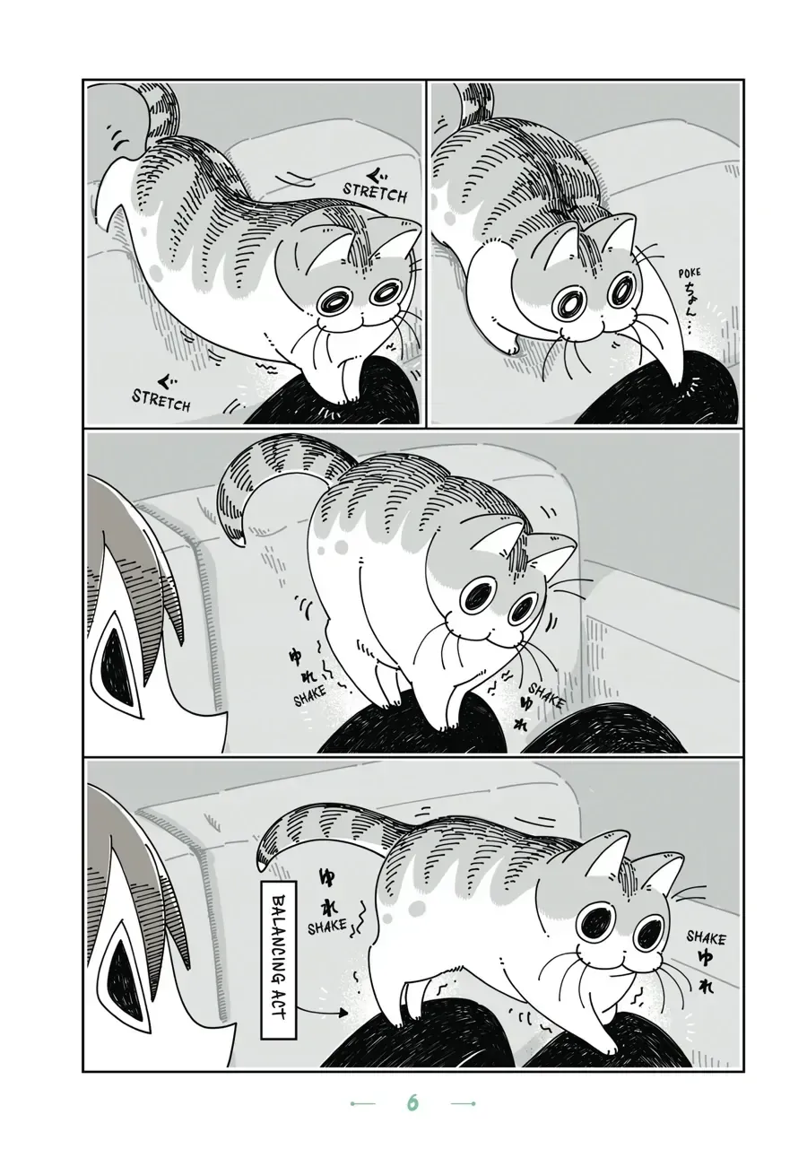 Read Nights With a Cat chapter 1.2 image 5 on Lezhin