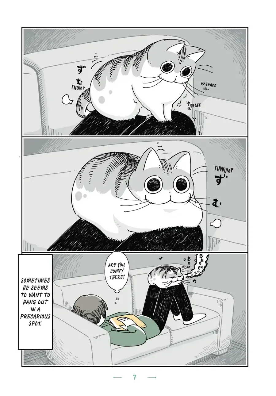 Read Nights With a Cat chapter 1.2 image 6 on Lezhin