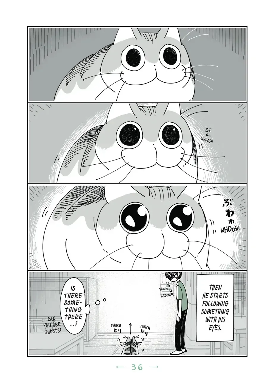Read Nights With a Cat chapter 10.1 image 1 on Lezhin