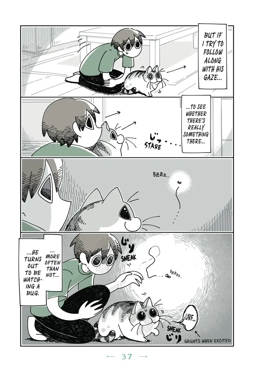 Read Nights With a Cat chapter 10.1 image 2 on Lezhin
