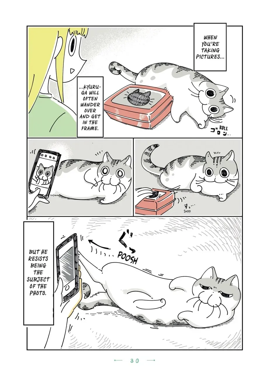 Read Nights With a Cat chapter 101 image 2 on Lezhin