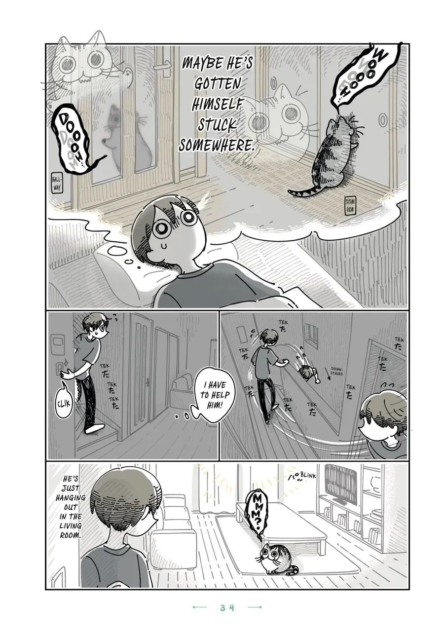 Read Nights With a Cat chapter 103 image 1 on Lezhin