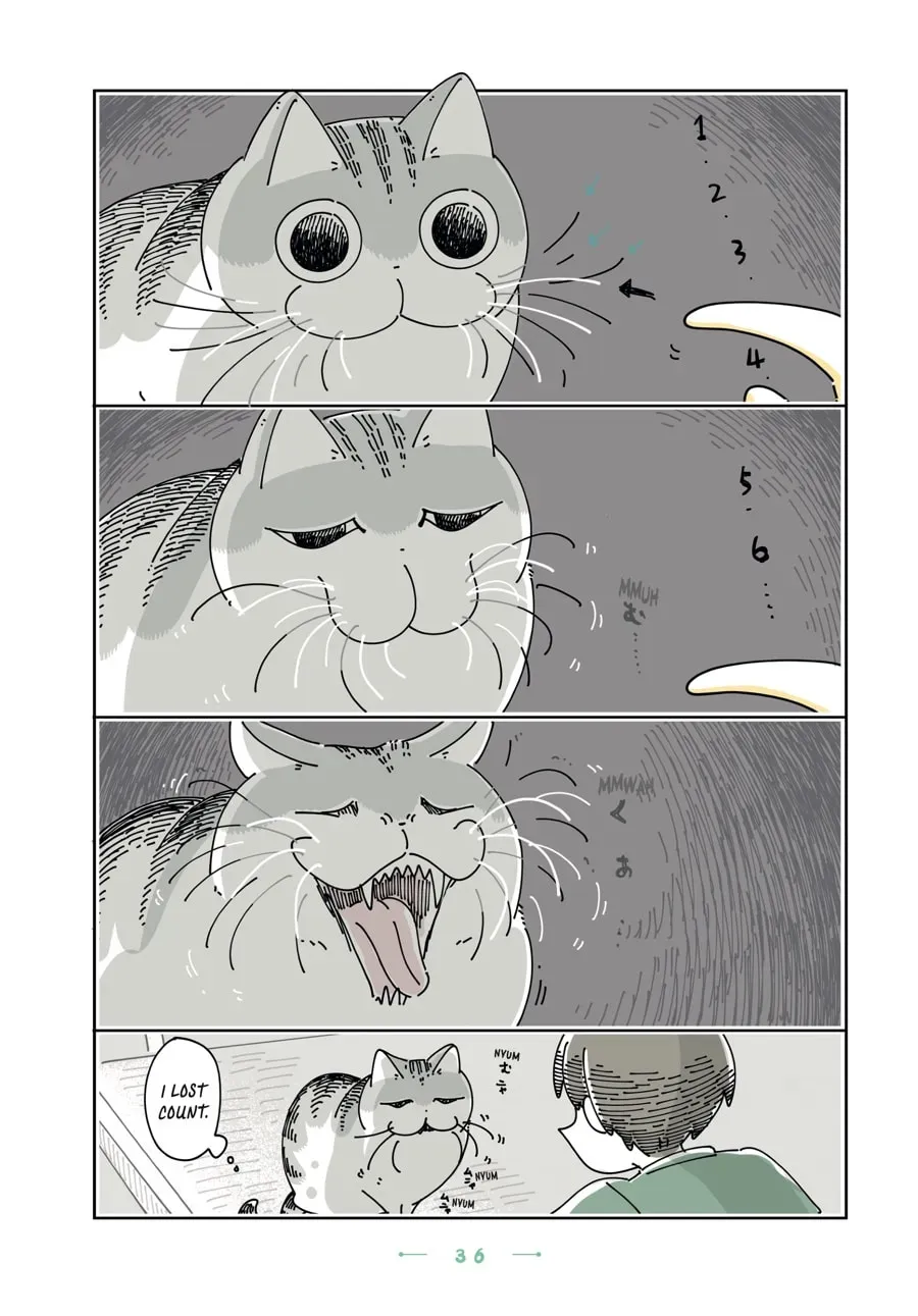 Read Nights With a Cat chapter 104 image 1 on Lezhin