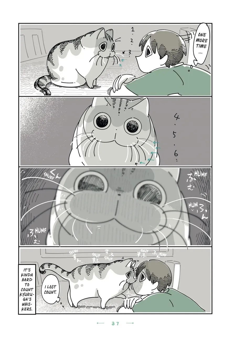 Read Nights With a Cat chapter 104 image 2 on Lezhin