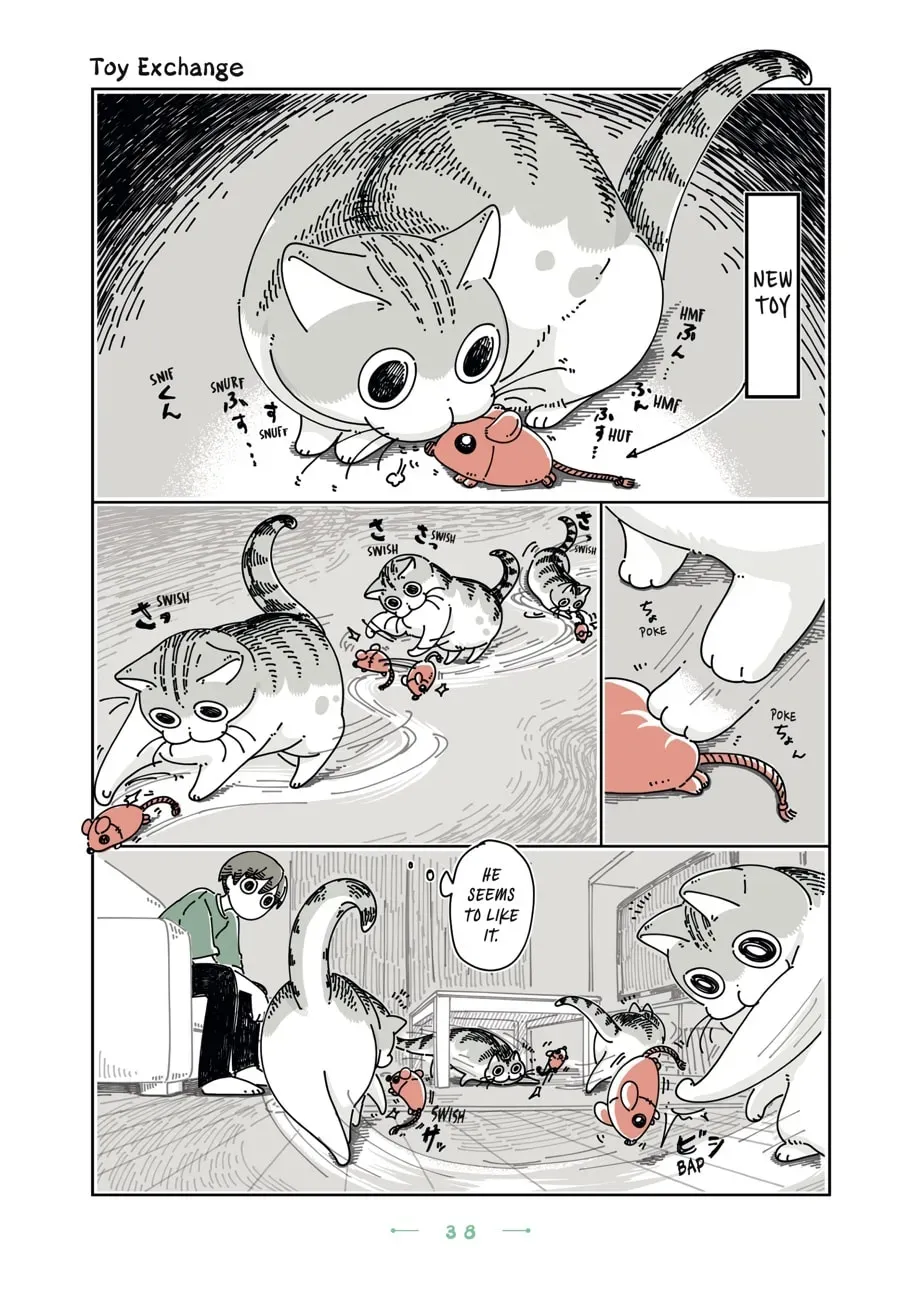 Read Nights With a Cat chapter 105 image 0 on Lezhin