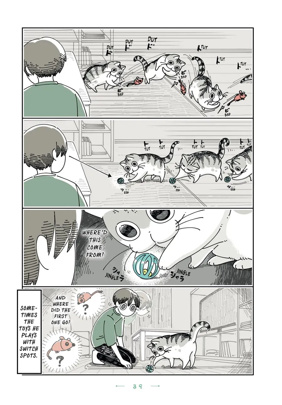 Read Nights With a Cat chapter 105 image 1 on Lezhin