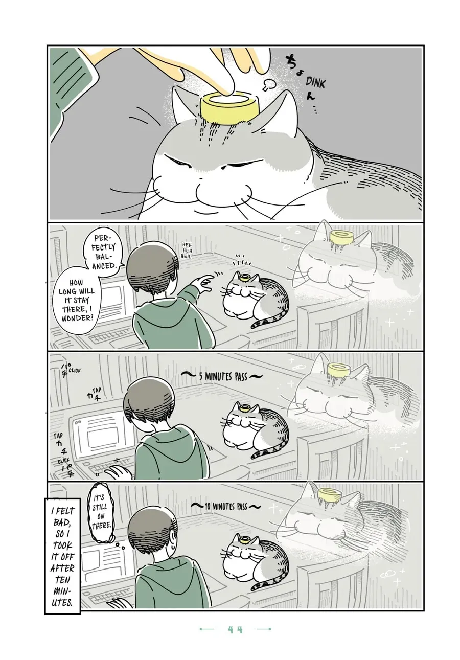 Read Nights With a Cat chapter 107 image 1 on Lezhin