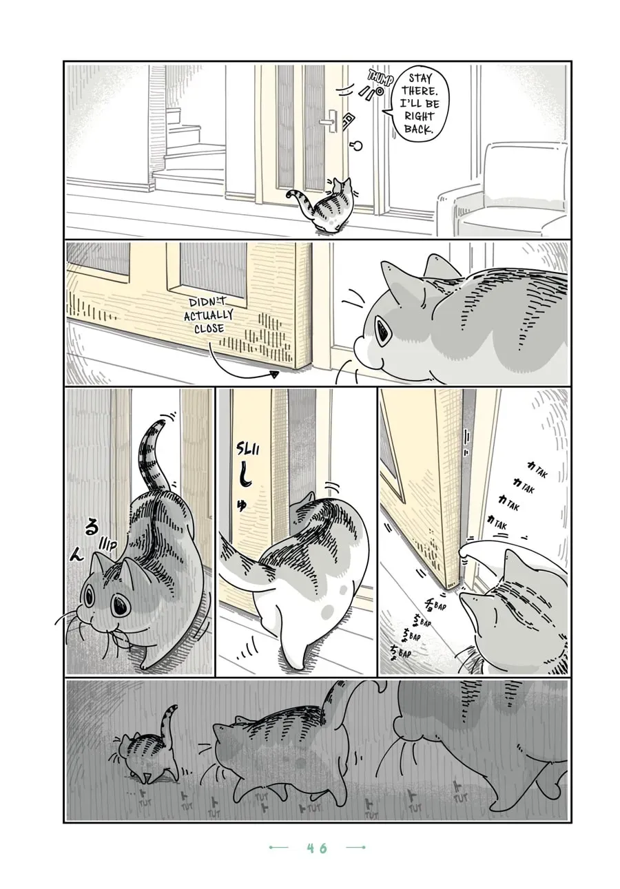 Read Nights With a Cat chapter 108 image 1 on Lezhin