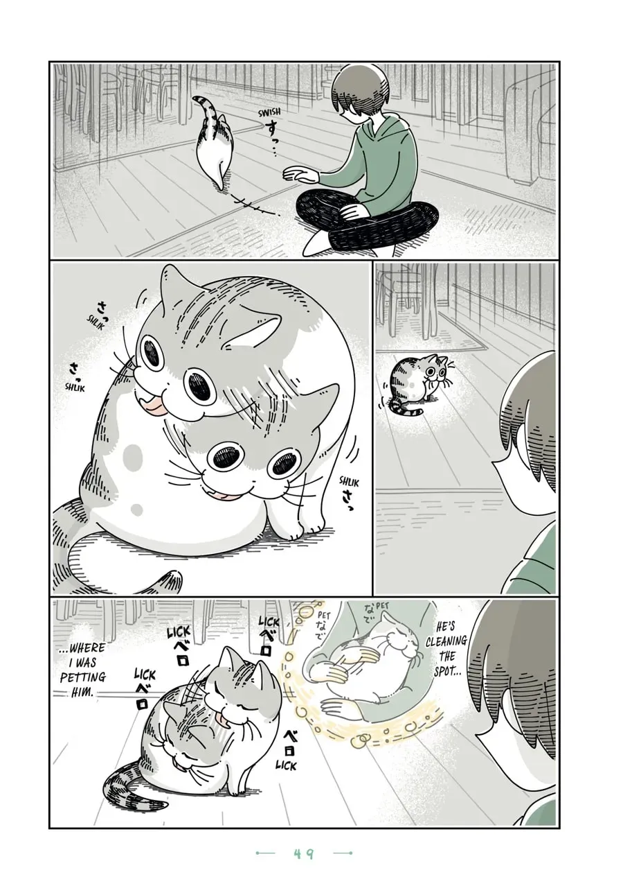 Read Nights With a Cat chapter 109 image 1 on Lezhin