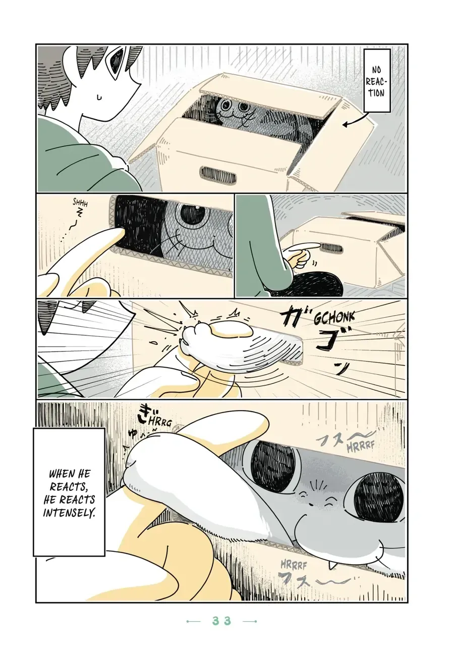 Read Nights With a Cat chapter 11.2 image 1 on Lezhin