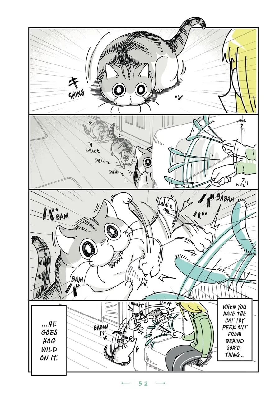 Read Nights With a Cat chapter 110 image 1 on Lezhin
