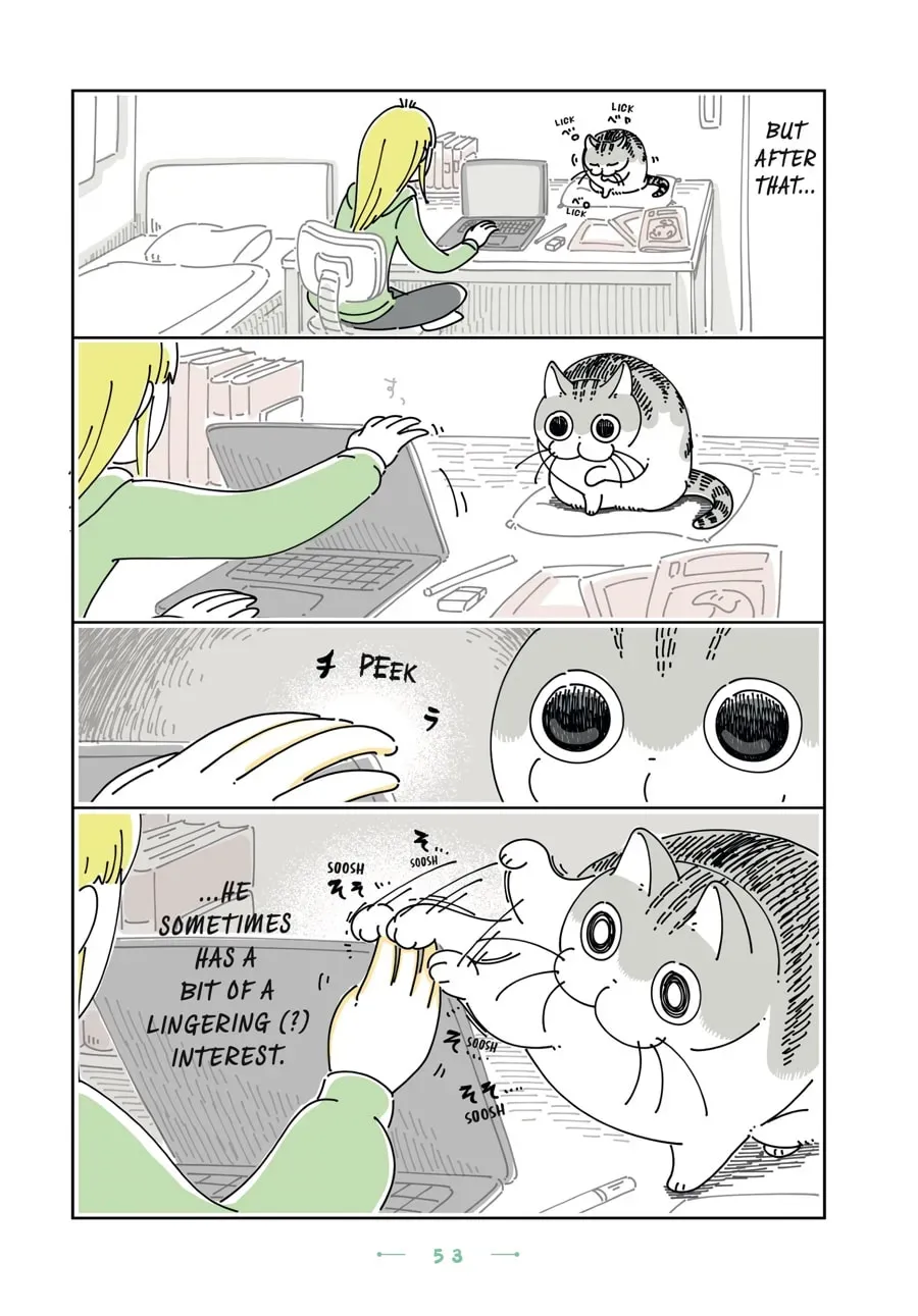 Read Nights With a Cat chapter 110 image 2 on Lezhin