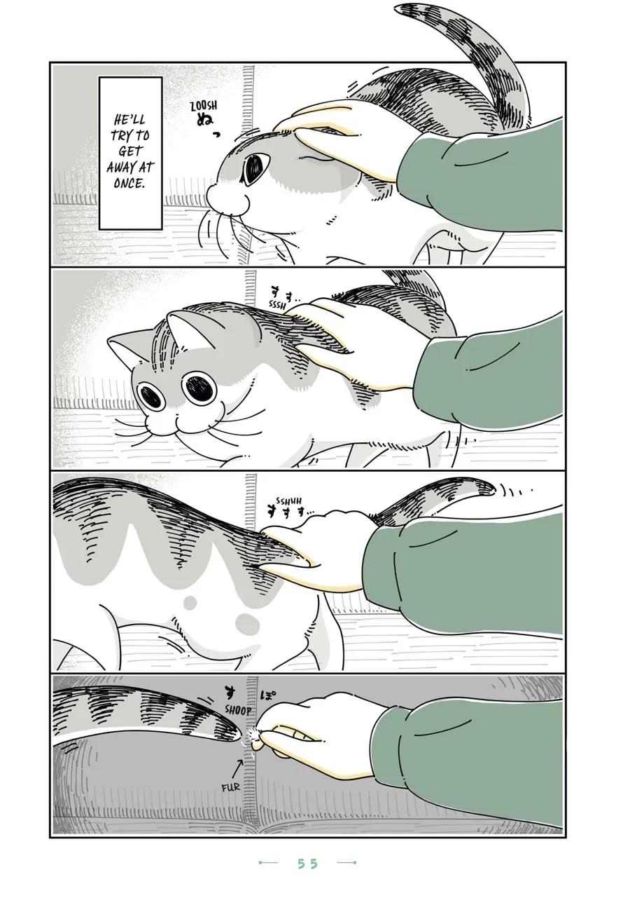 Read Nights With a Cat chapter 111 image 1 on Lezhin