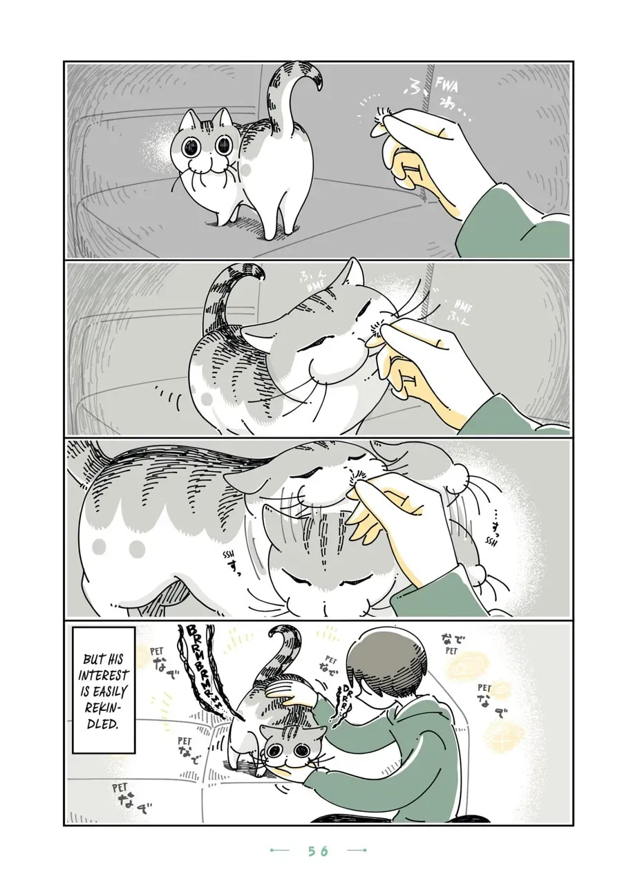 Read Nights With a Cat chapter 111 image 2 on Lezhin