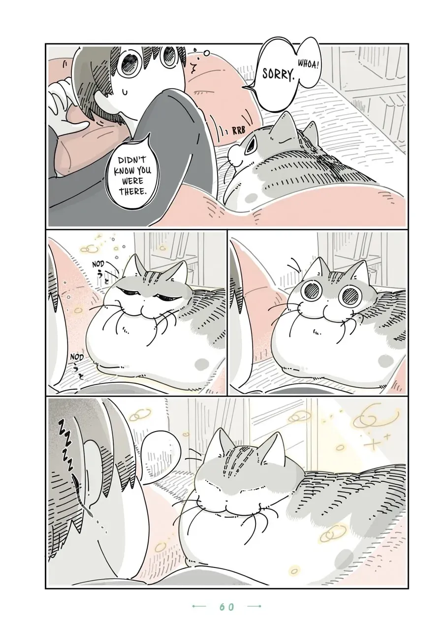 Read Nights With a Cat chapter 113 image 1 on Lezhin