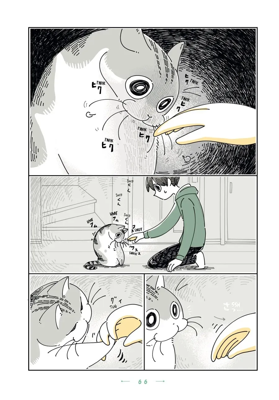 Read Nights With a Cat chapter 115 image 1 on Lezhin