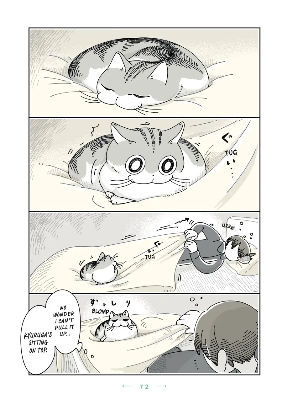 Read Nights With a Cat chapter 117 image 1 on Lezhin