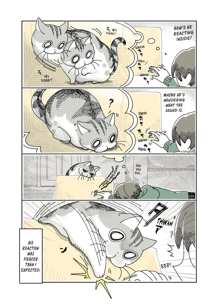 Read Nights With a Cat chapter 119 image 1 on Lezhin