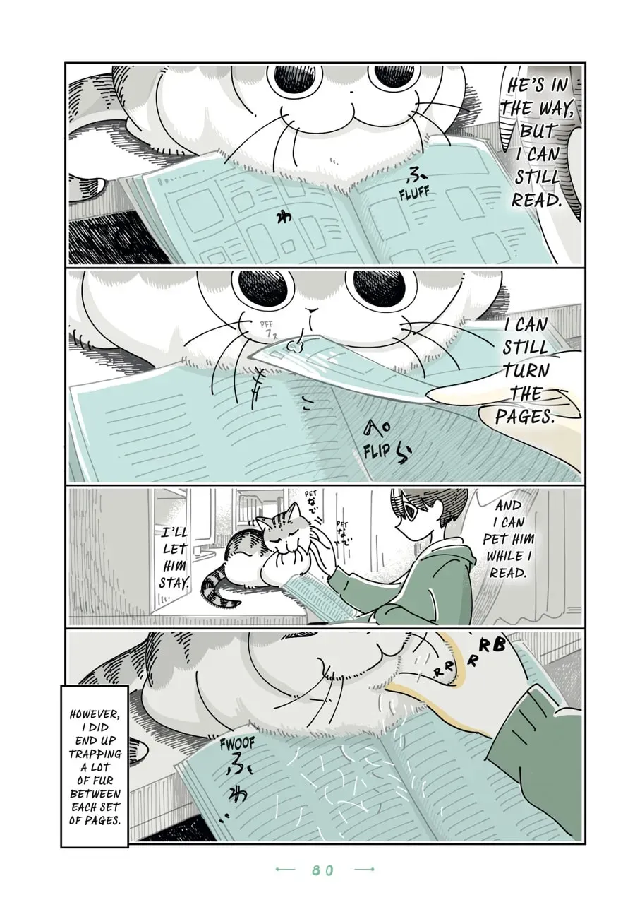 Read Nights With a Cat chapter 120 image 1 on Lezhin