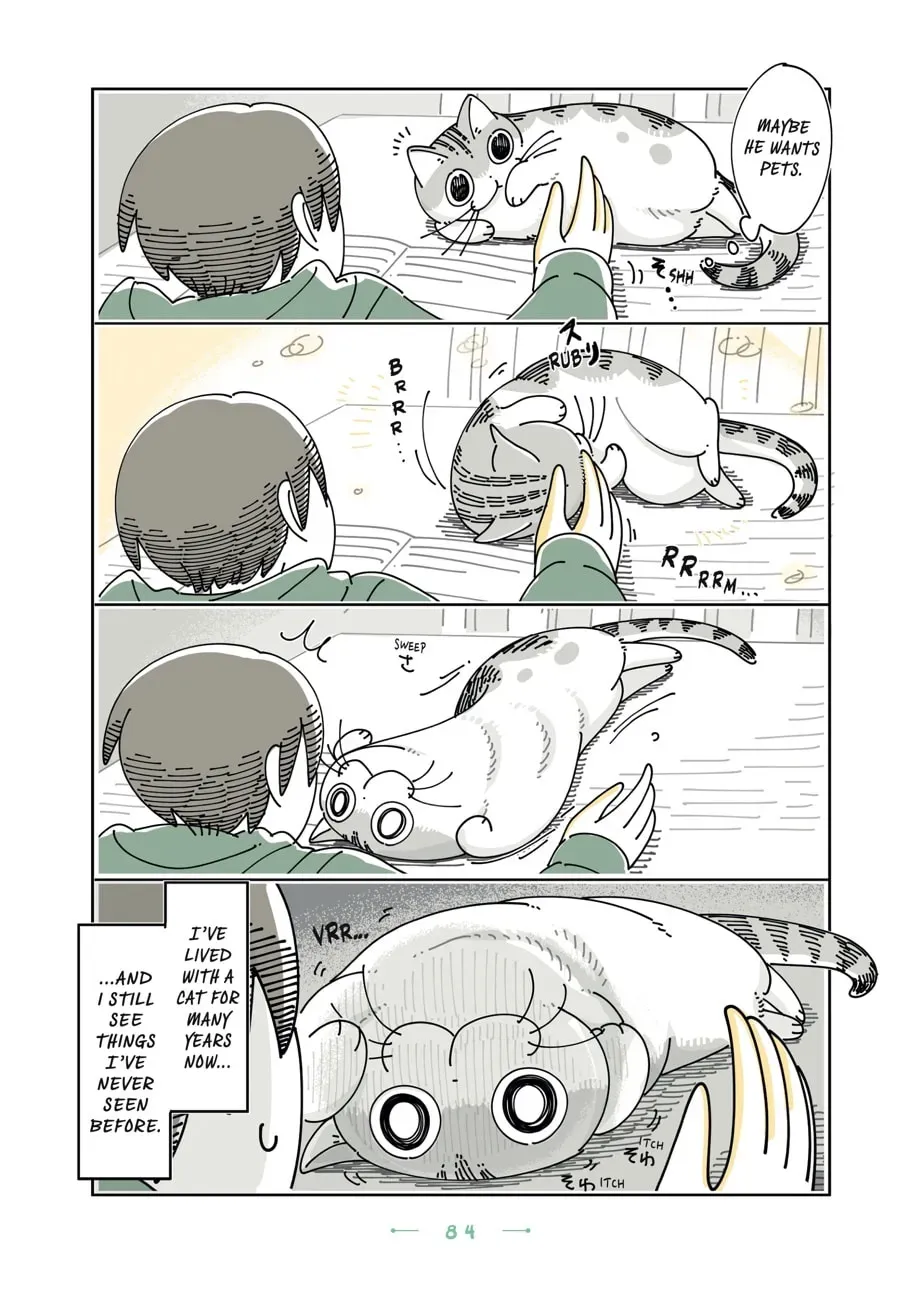 Read Nights With a Cat chapter 122 image 1 on Lezhin