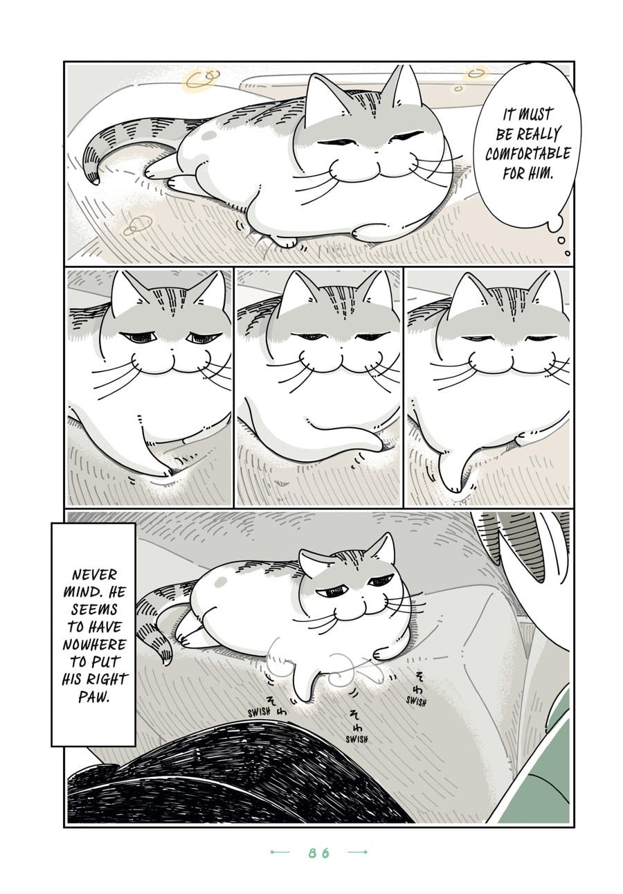 Read Nights With a Cat chapter 123 image 1 on Lezhin