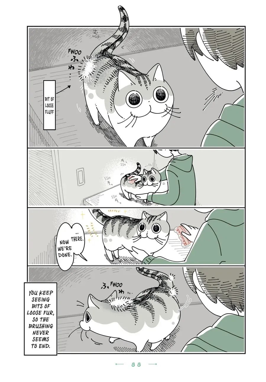 Read Nights With a Cat chapter 124 image 1 on Lezhin