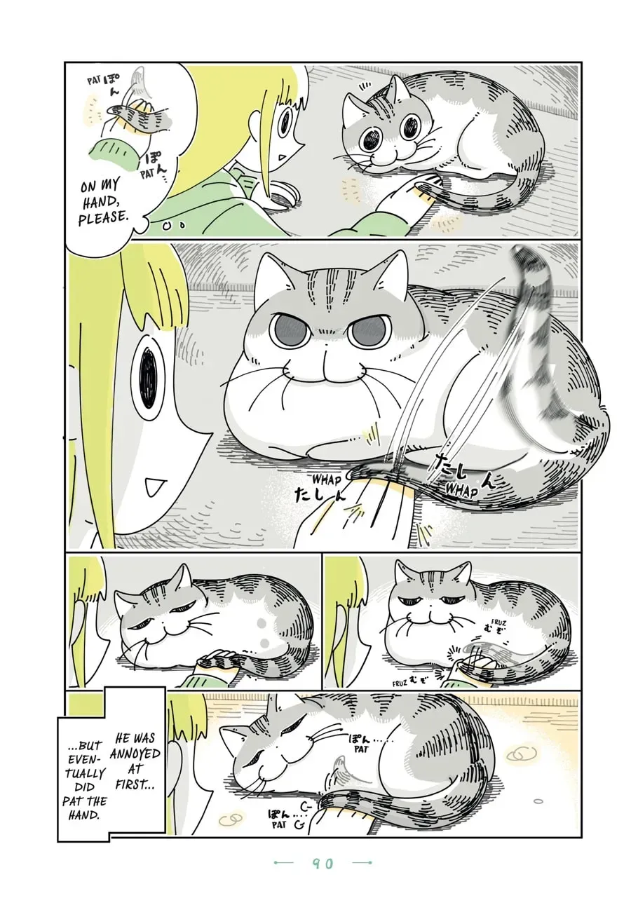 Read Nights With a Cat chapter 125 image 1 on Lezhin