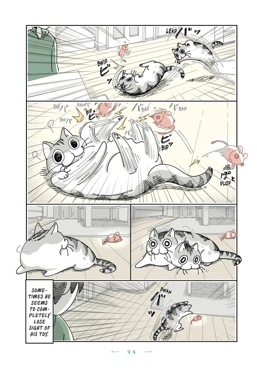 Read Nights With a Cat chapter 127 image 1 on Lezhin