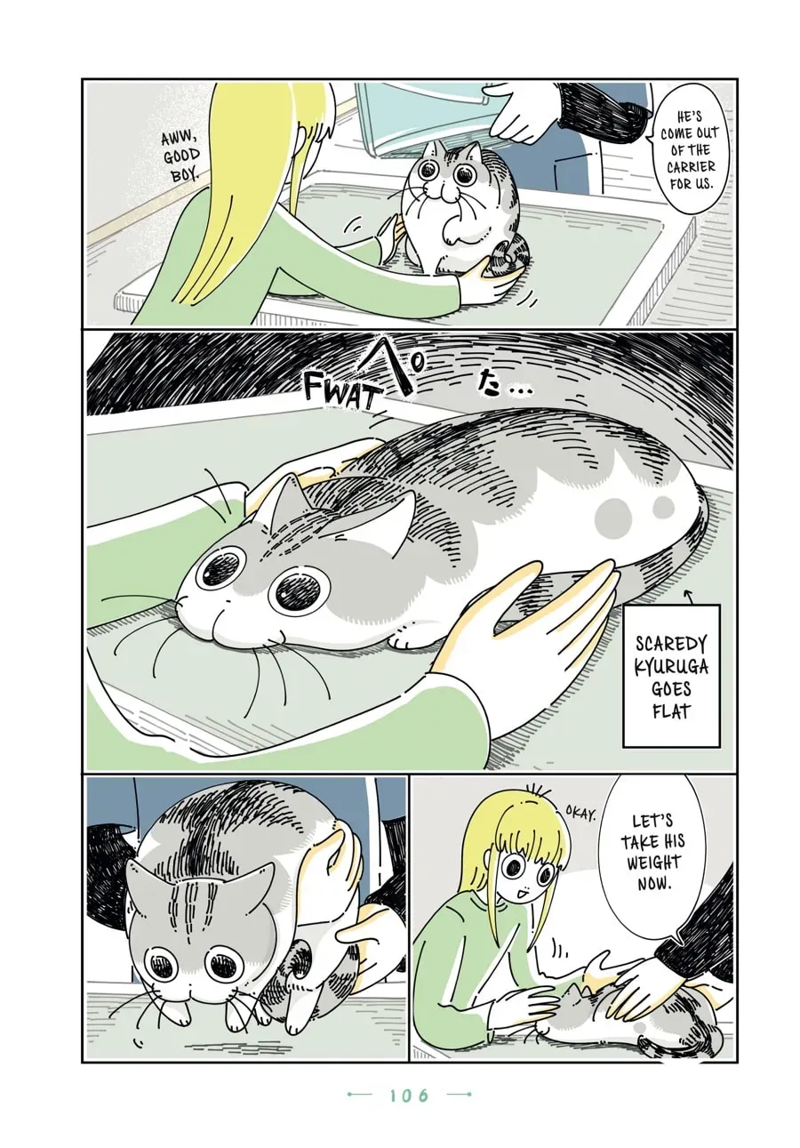 Read Nights With a Cat chapter 128 image 10 on Lezhin