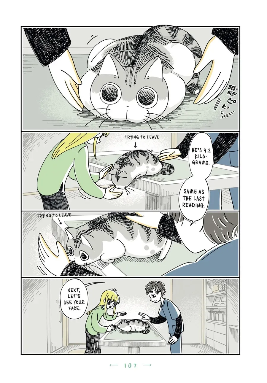 Read Nights With a Cat chapter 128 image 11 on Lezhin