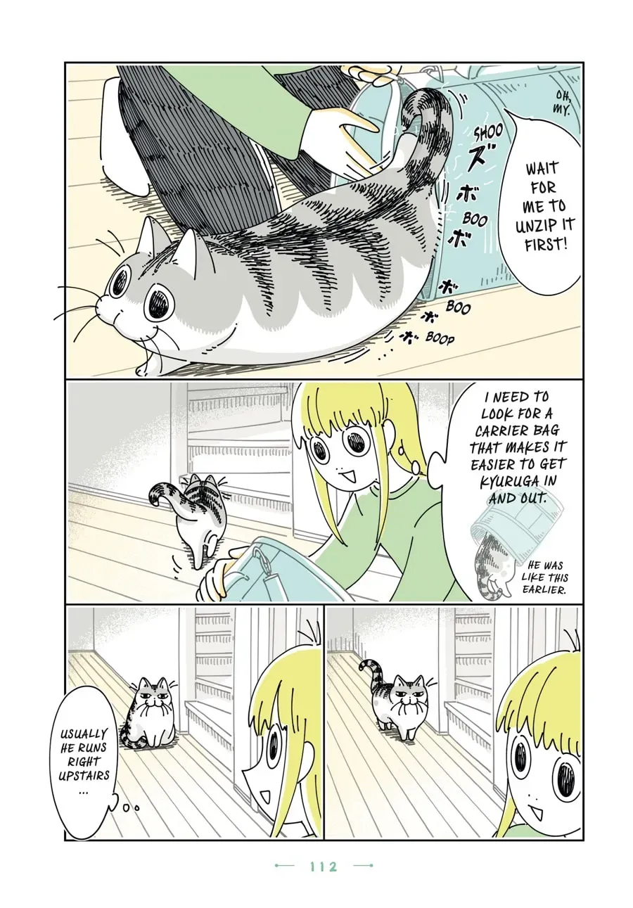 Read Nights With a Cat chapter 128 image 16 on Lezhin