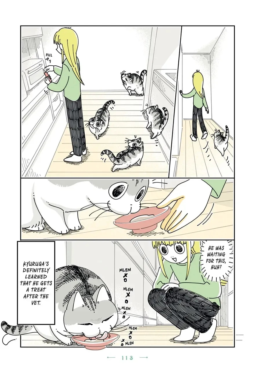 Read Nights With a Cat chapter 128 image 17 on Lezhin